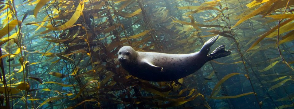 483743_146157598885259_840476943_n